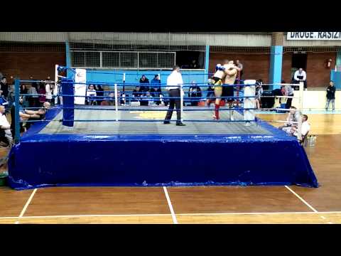 Sasa Dragic vs Bojan Dzepina