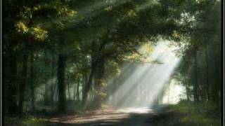 Acda en de Munnik - Het regent zonnestralen.