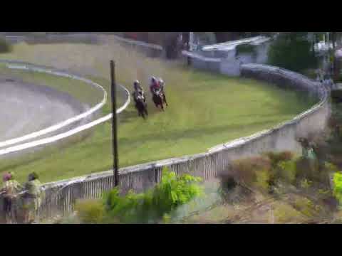 19eme journée - Race 6 - Triple Fate Line