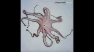 Clepsydra  - 07. The Return