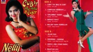 Download lagu Album Pertama NELLY AGUSTIN mp3