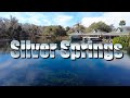 Walking Through Silver Springs January 10 2023