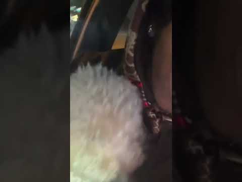 DC The Don Previews UNHEARD Snippet [Instagram Live 10/7-2022] (2022 Snippet)