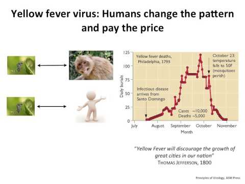 Virology 2013 Lecture #23 - Emerging viruses