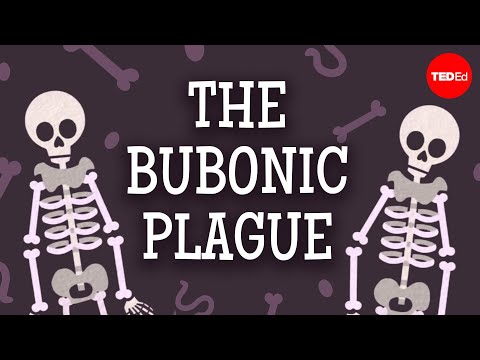 The past, present, and future of the bubonic plague - Sharon N. DeWitte