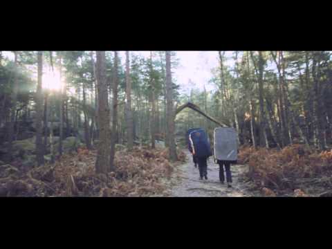 Fontainebleau et ses blocs - Apparemment en bas, Ubik assis, Elephunk