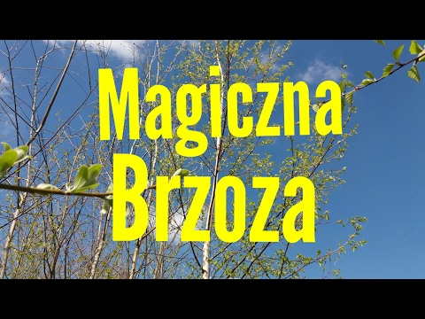 Młot spadowy Brest torus Naturalny środek na potencję