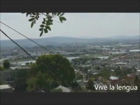 Live the language - Queretaro