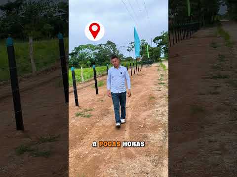 🚨 LOTES DESDE $8 MILLONES EN SAN CARLOS DE GUAROA META Y FINANCIACIÓN HASTA 36 MESES