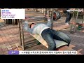 공원에서 운동, 벤치프레스, 공원에서 근력운동[건디roy]