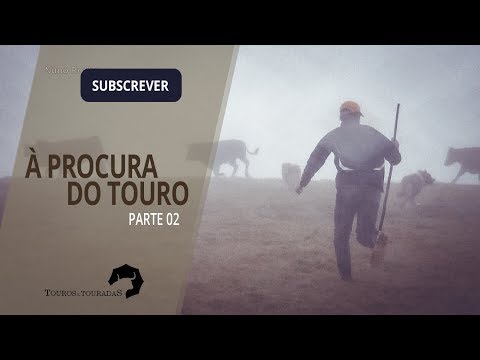 À procura do touro ( Parte Final )