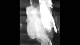 Prairie - Veronica or Die