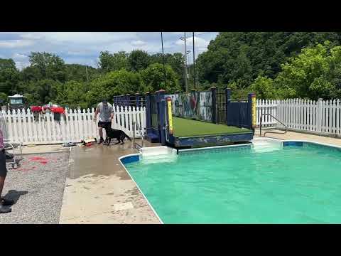 Awesome Day At The Pool With "Bling"