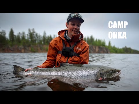 Catching my first salmon and it’s a giant - Fly Fishing Baltic Salmon
