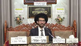 הרב נדב שריפי   יום פטירת הגאון רבנו חיים קנייבסקי   מוסאיוף (בית הכנסת מוסאיוף) - התמונה מוצגת ישירות מתוך אתר האינטרנט יוטיוב. זכויות היוצרים בתמונה שייכות ליוצרה. קישור קרדיט למקור התוכן נמצא בתוך דף הסרטון