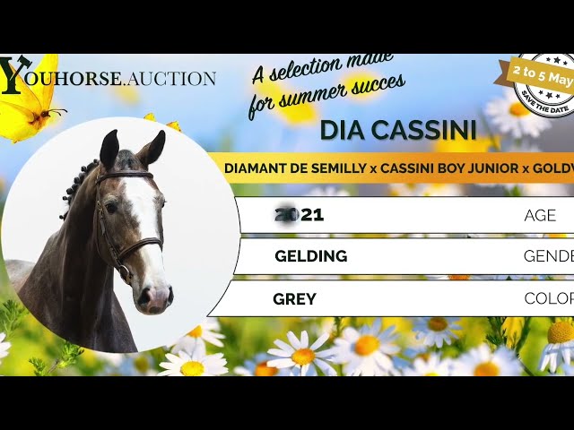 Dia Cassini showvideo