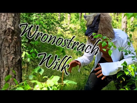 Wronostrach - Wilk