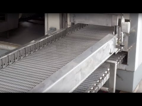 Frigoscandia Spiral Freezer - HOSBV, Realized Project - Roasty, Cairo, Egypt