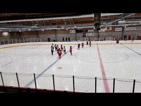 Diskos keltainen -  Urho