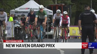 News 8 live at New Haven's Grand Prix and Apizza Feast