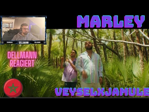 Deutschrapper sind high ass fuck VEYSEL X JAMULE - BOBBY (Reaction)