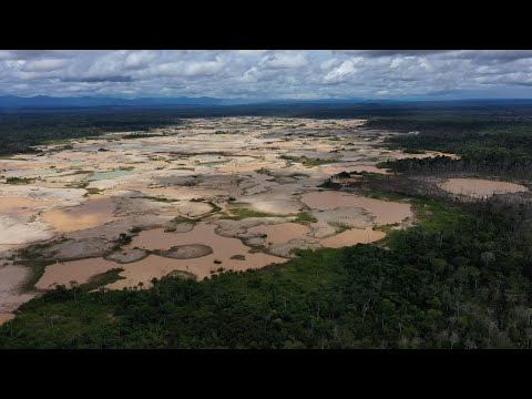The Associated Press short-form video