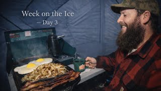 Beaver Trapline Success — Ice Camp Day 3