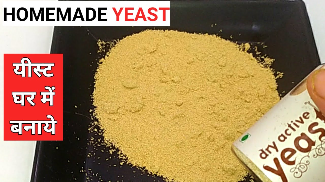 यीस्ट बनाये घर में आसानी से |homemade yeast|yeast recipe|how to make yeast at home