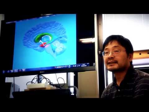 選択行動や心の動きを学ぶ｜行動科学｜松葉 敬文｜経済情報学部｜岐阜聖徳学園大学