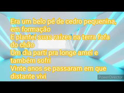 Pe de cedro...Belmonte e Amarai...karaoke 