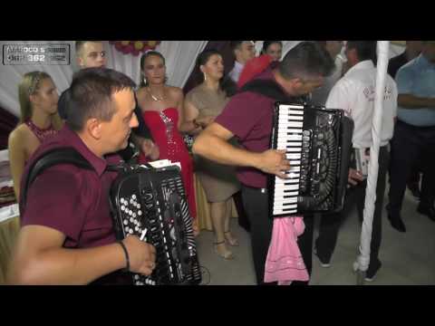 Orkestar Sveti Gral (Darko Filipovic & Biljana Karadzic) - Veliki Mix hitova, Kucevo 2016