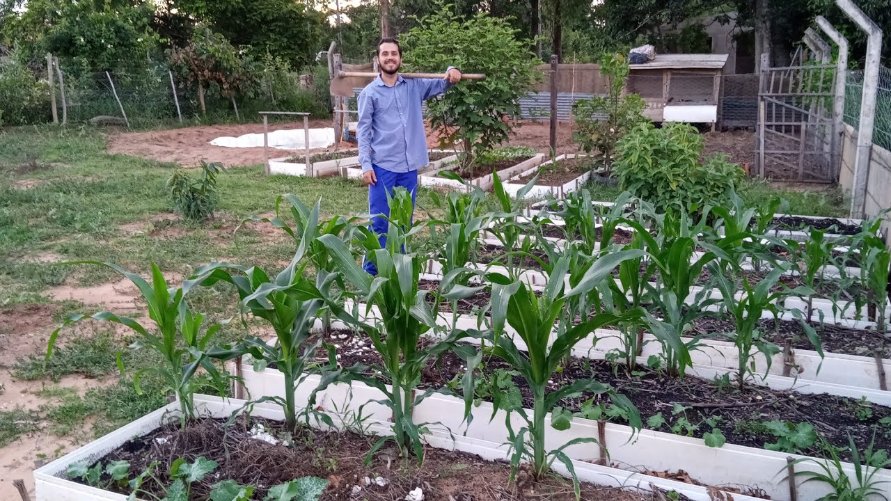 Oque me fez SAIR da cidade e ir para o CAMPO?