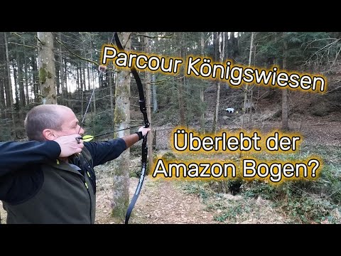 Amazon Bogen im Test - Überlebt er den 3d-Parcour in Königswiesen?