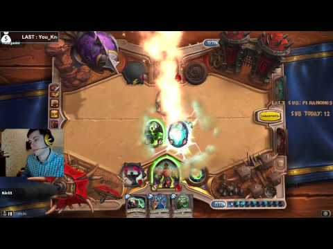 09.11.2014. Cake & NastjaDD - Hearthstone