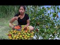 Survival skills: Finding Natural Jujube for Food in Forest - Jujube Vs Salt chili Eating delicious