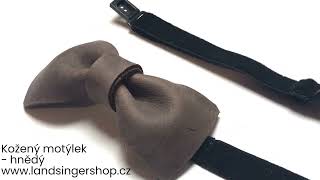 Kožený motýlek hnědý