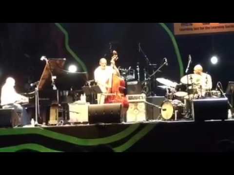 Peter Martin Trio: In A Mellow Tone