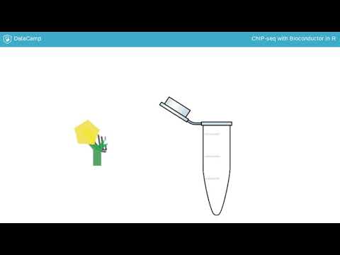 R Tutorial: What is ChIP-seq?