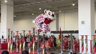[4K] 新加坡騰與 Teng Heng @ 2026 Antica Cup 新马高桩争霸赛 Acrobatic Lion Dance Comp 22 Aug 2026