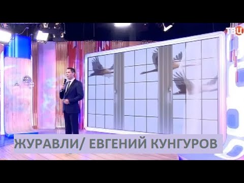 Обложка видео