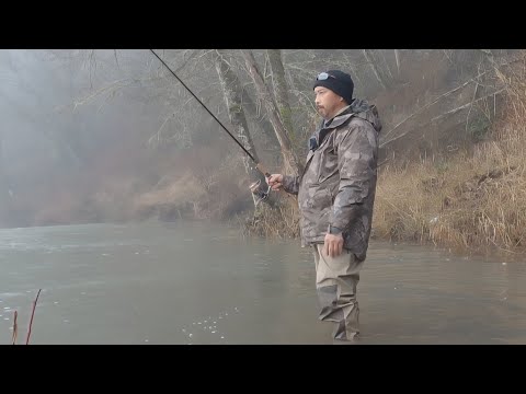 Washington Winter Steelhead 1/13/2026