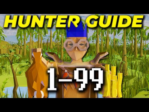 A Complete 1-99 Hunter Guide 2025 [OSRS]