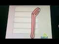 Sesame Street The Alphabet Song Manhattan Transfer
