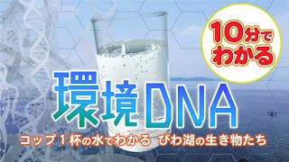 【びわ湖を守る仲間たち】環境DNA　コップ1杯の水でわかる、びわ湖の生き物たち【10分でわかるダイジェスト】