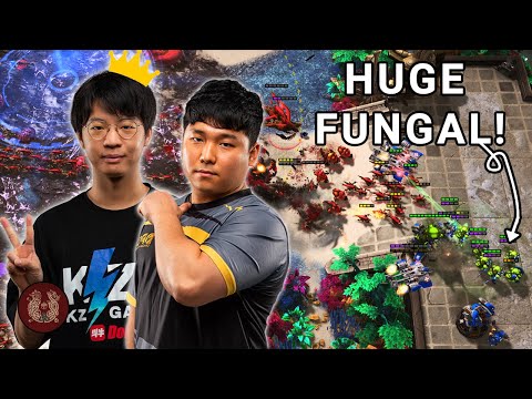 Oliveira's Epic Lategame! | Dark v Oliveira Finals | ESL Open Cup KR 168