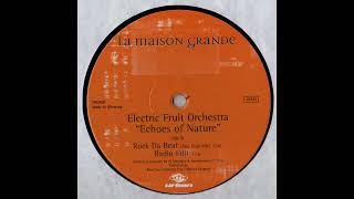 Rock Da Beat (Fast Club Mix) - Electric Fruit Orchestra