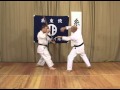Bassai Sho Bunkai
