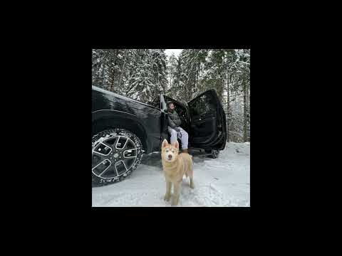 [FREE] FRIENDLY THUG 52 NGG x ALBLACK 52 TYPE BEAT - Gull