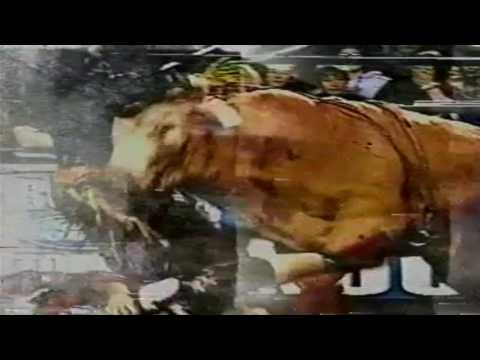 2004 PBR Season intro