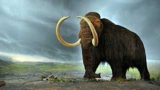 Skyrim Mods: Summon Mammoths (PC/XBOX1/PS4)